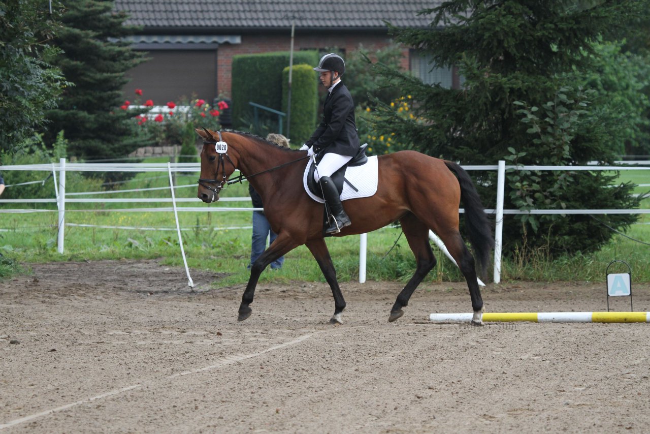 Bild 2 - WBO-Turnier am 18.9.11
